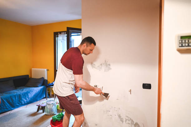 Best Post-Flood Mold Remediation in Forrest City, AR